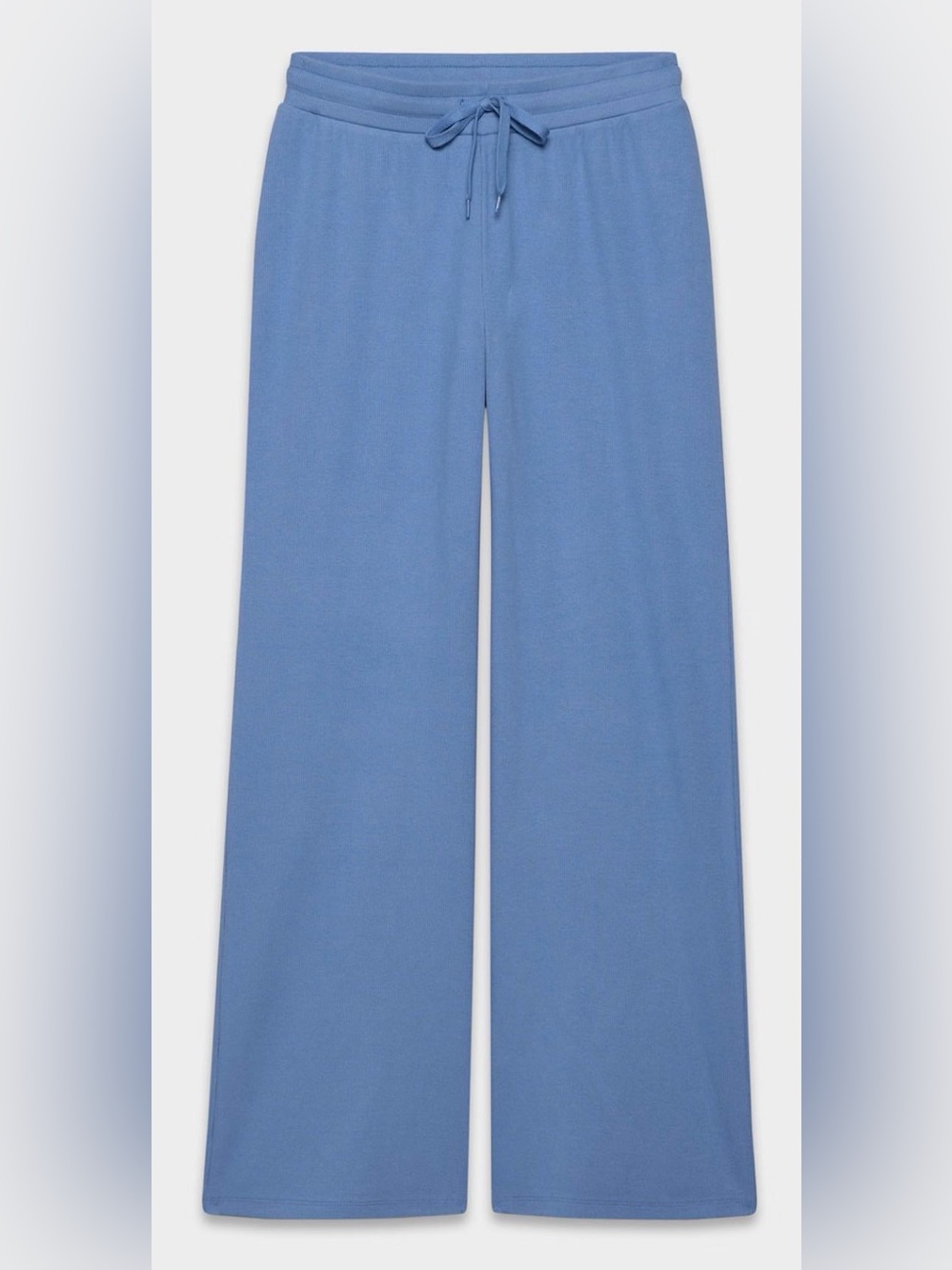 Aritzia Wide-Leg Drawstring Pants in Dusty Blue